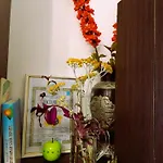 оазис 1 във * Várna