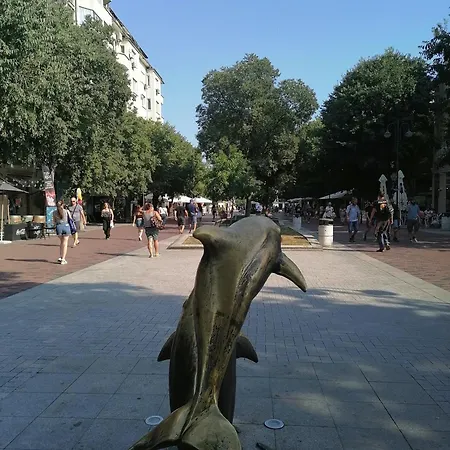 оазис 1 във ヴァルナ