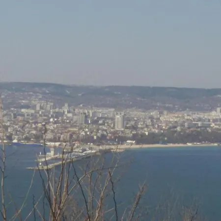 оазис 1 във